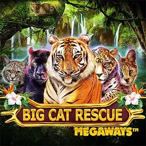 ทดลองเล่น Big Cat Rescue